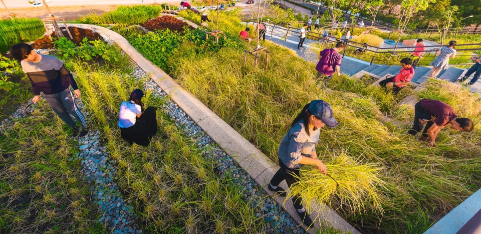 gooood archive Urban Agriculture