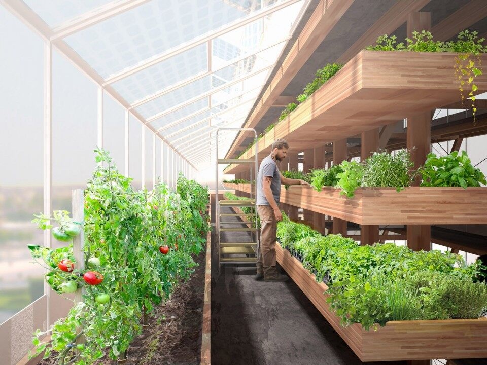 gooood archive Urban Agriculture