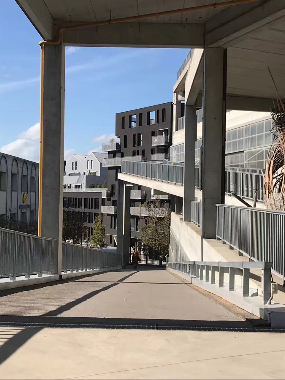 What was it like studying in the architecture school designed by Pritzker Prize winner