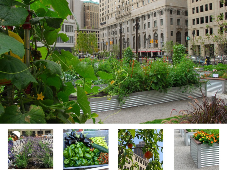 gooood archive Urban Agriculture