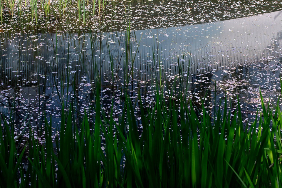 Chengdu Luxelakes Kayak Channel Landscape Project WISTO DESIGN