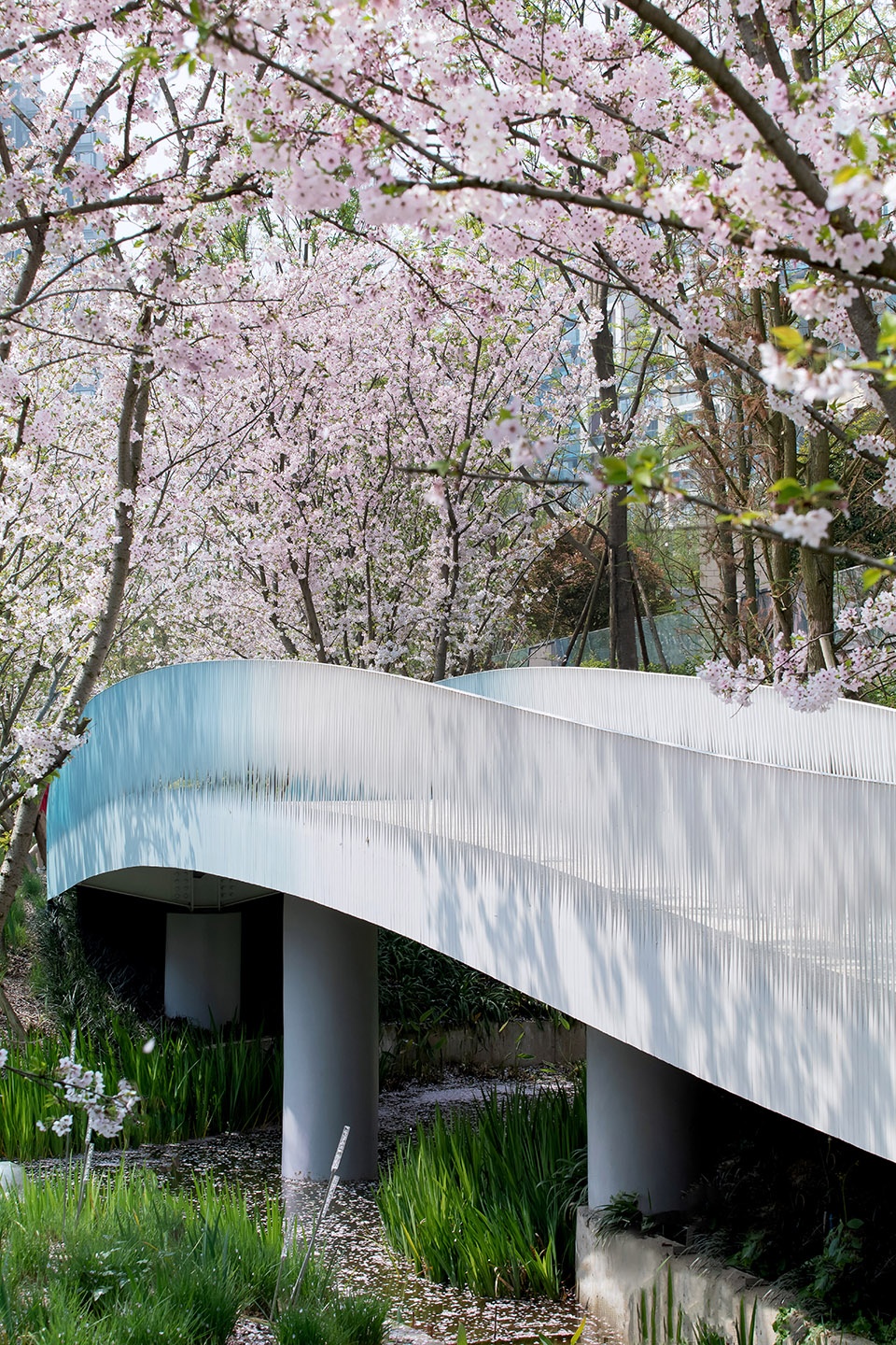 Chengdu Luxelakes Kayak Channel Landscape Project WISTO DESIGN