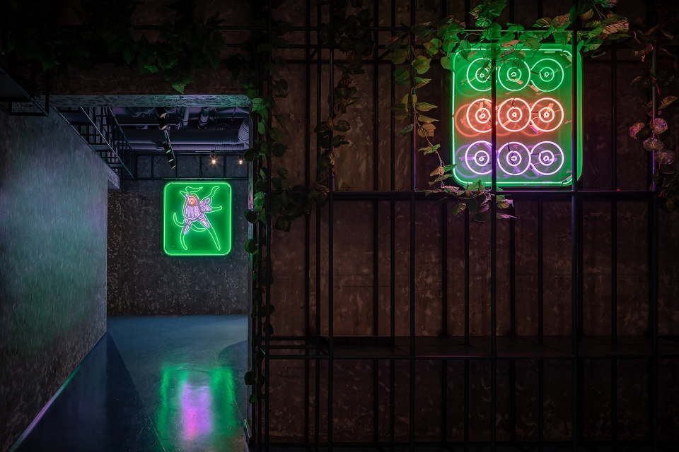 Nassau Club Update Studio