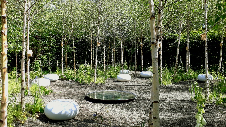 In the eyes of mother earth by MAAK space