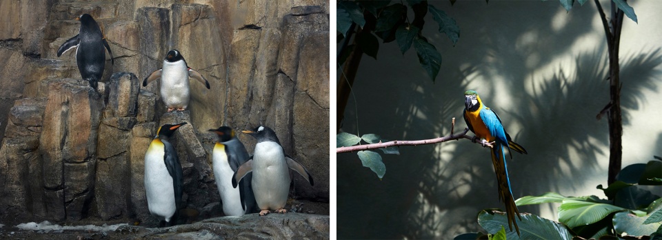 Montreal Biodome Science Museum by KANVA 拷贝