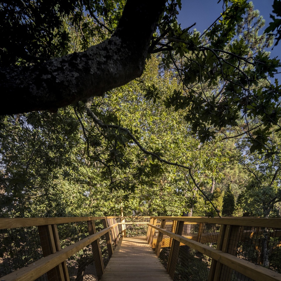 treetop walk serralves by alvaro siza