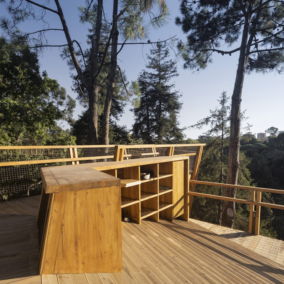 treetop walk serralves by alvaro siza