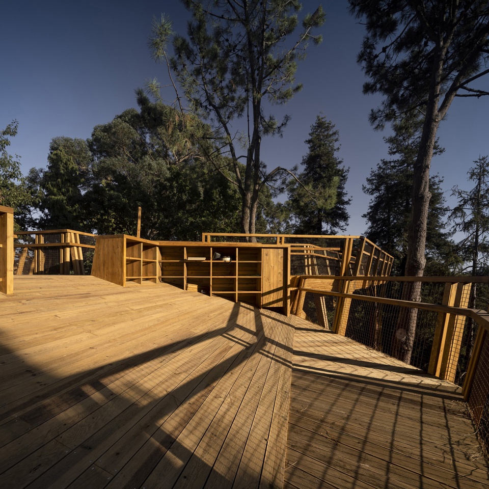 treetop walk serralves by alvaro siza