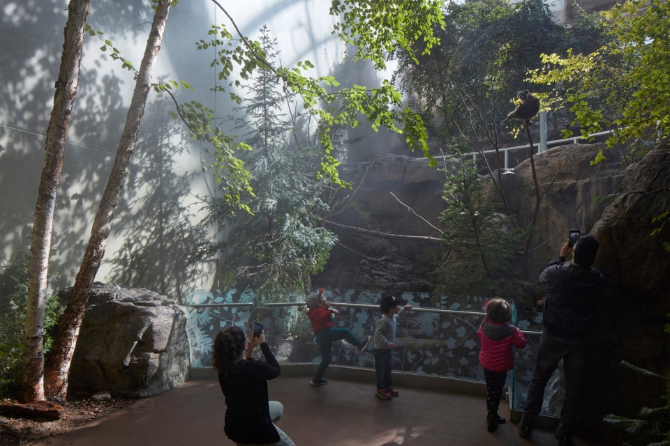 Montreal Biodome Science Museum by KANVA