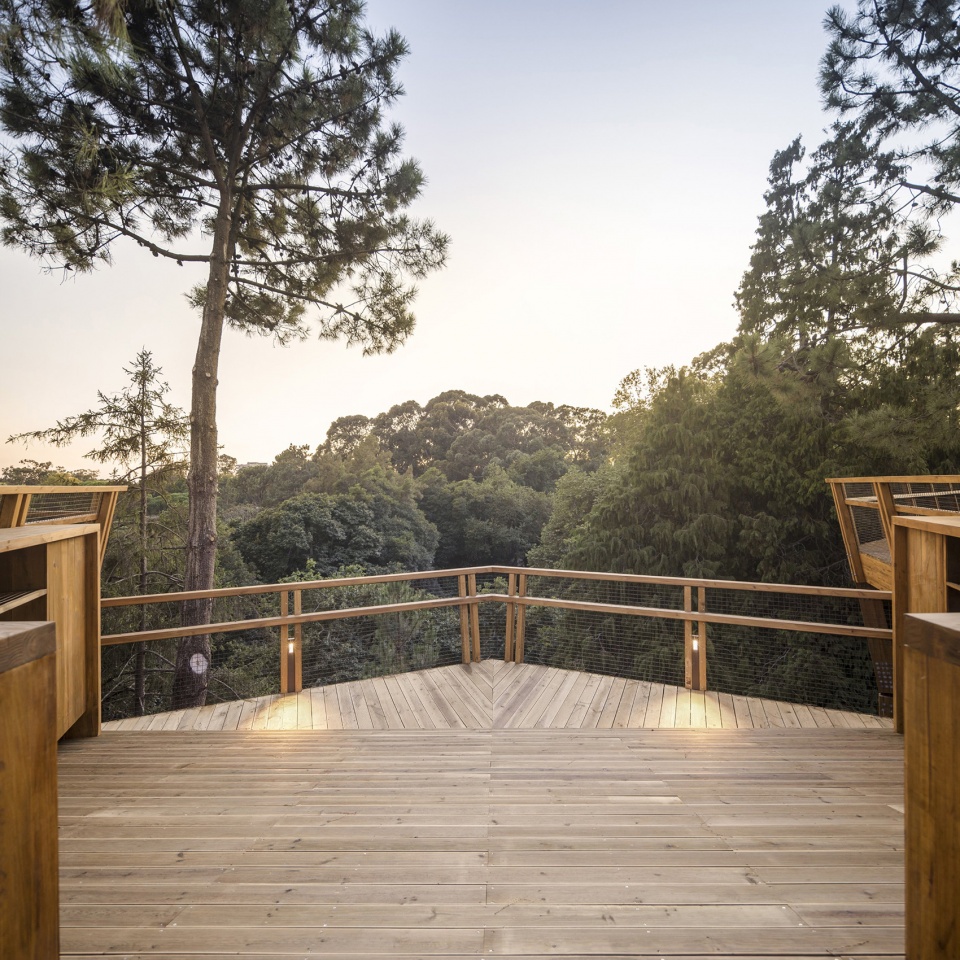 treetop walk serralves by alvaro siza