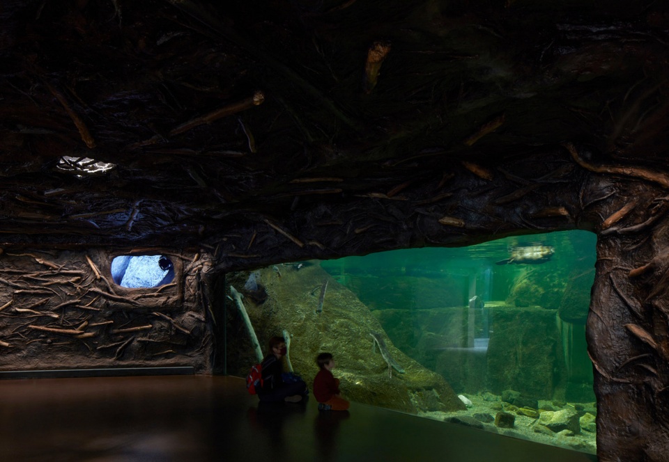 Montreal Biodome Science Museum by KANVA