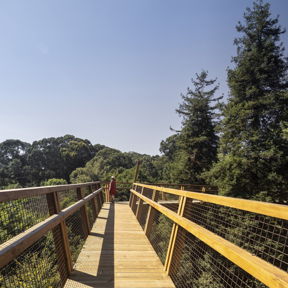 treetop walk serralves by alvaro siza