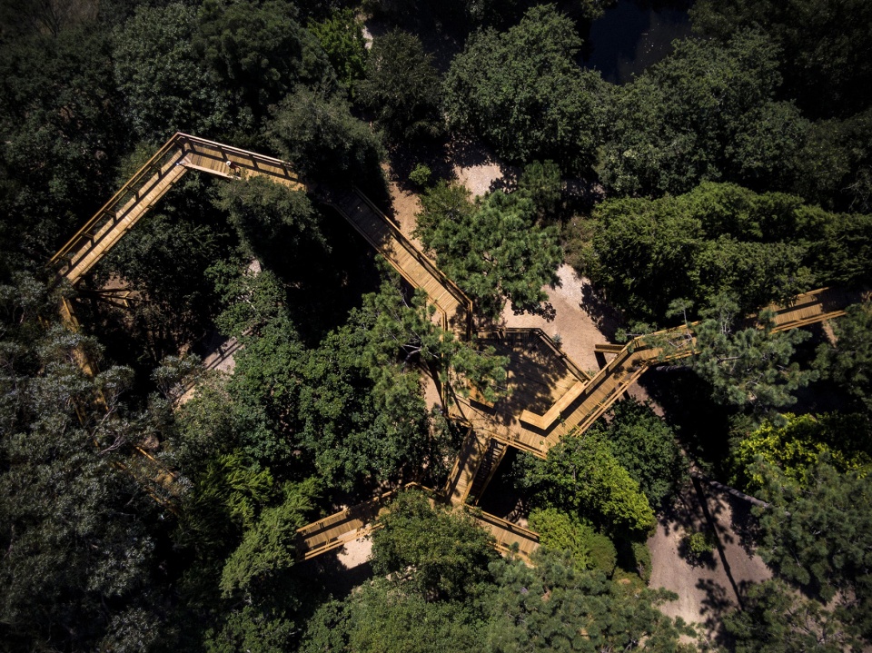 treetop walk serralves by alvaro siza