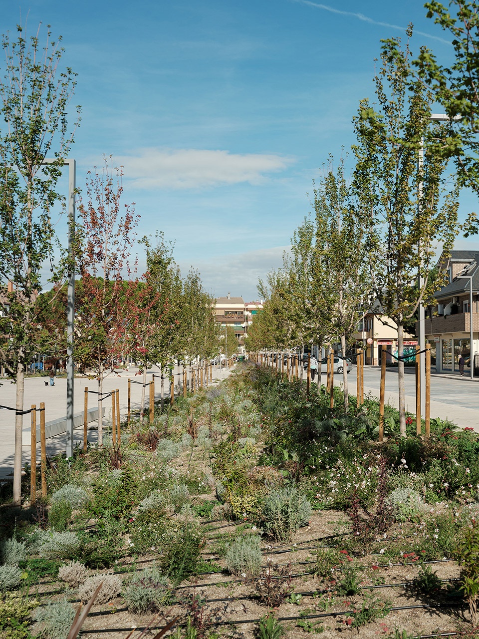 REMODELING OF BELGAS SQUARE by Contxto