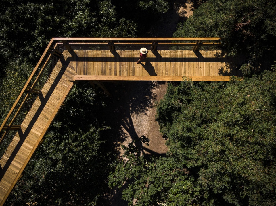 treetop walk serralves by alvaro siza