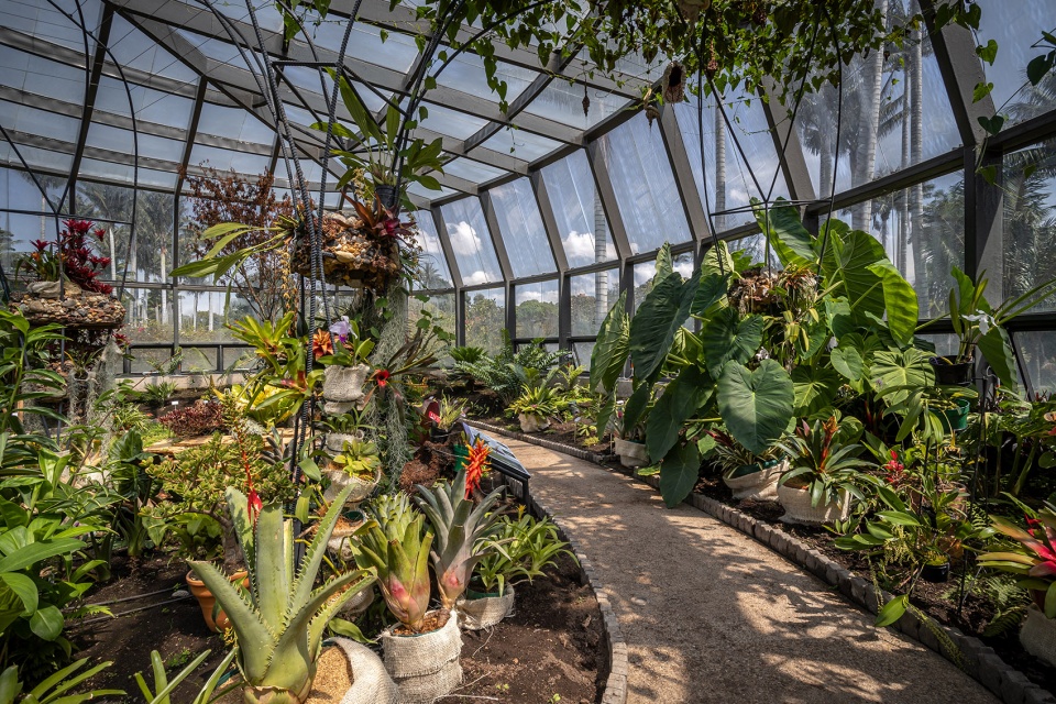 Tropicario Bogotá Botanic Garden by DARP
