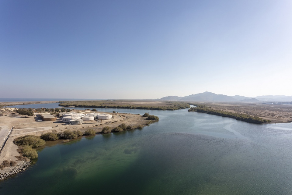 turtle sanctuary at kalba mangrove reserve by hopkins architects
