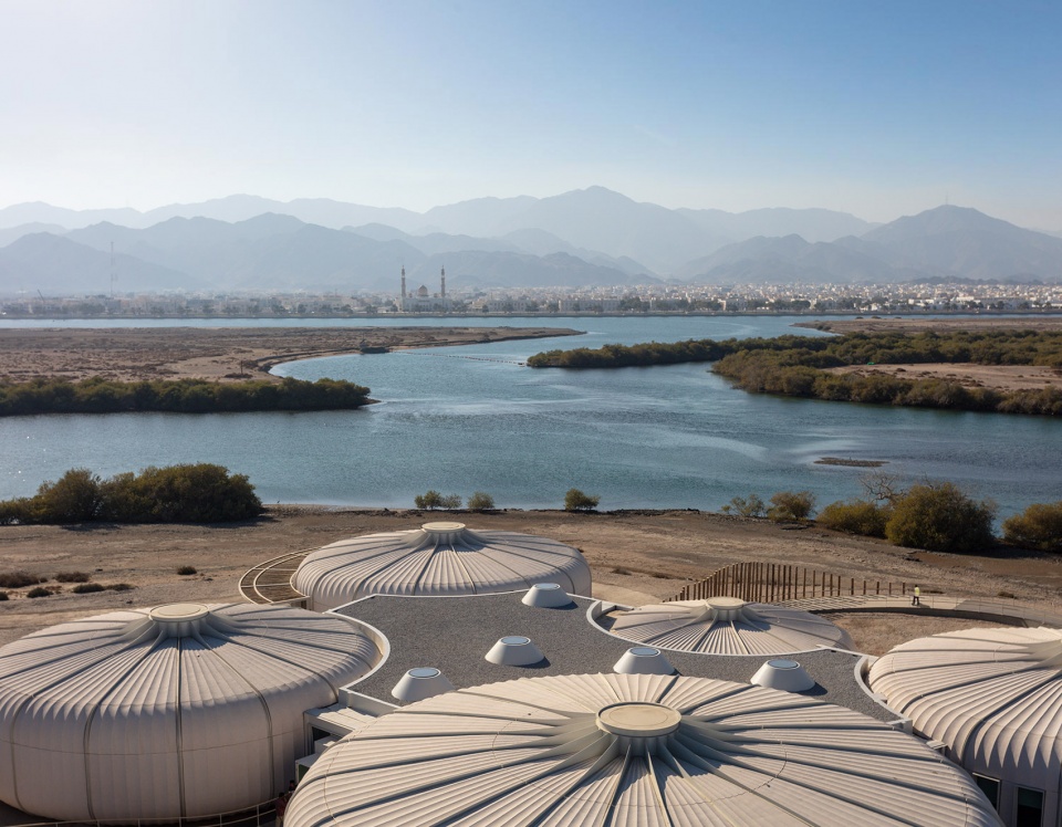 turtle sanctuary at kalba mangrove reserve by hopkins architects