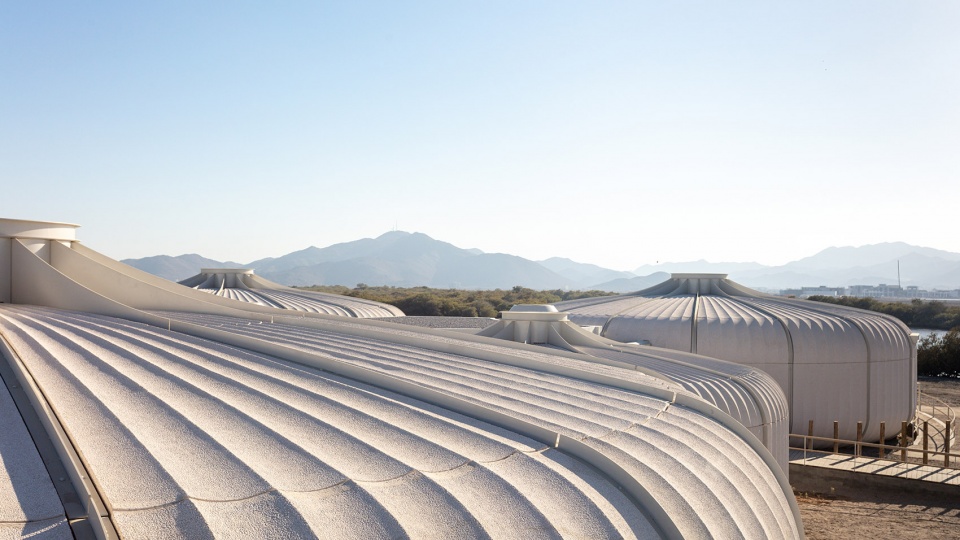 turtle sanctuary at kalba mangrove reserve by hopkins architects