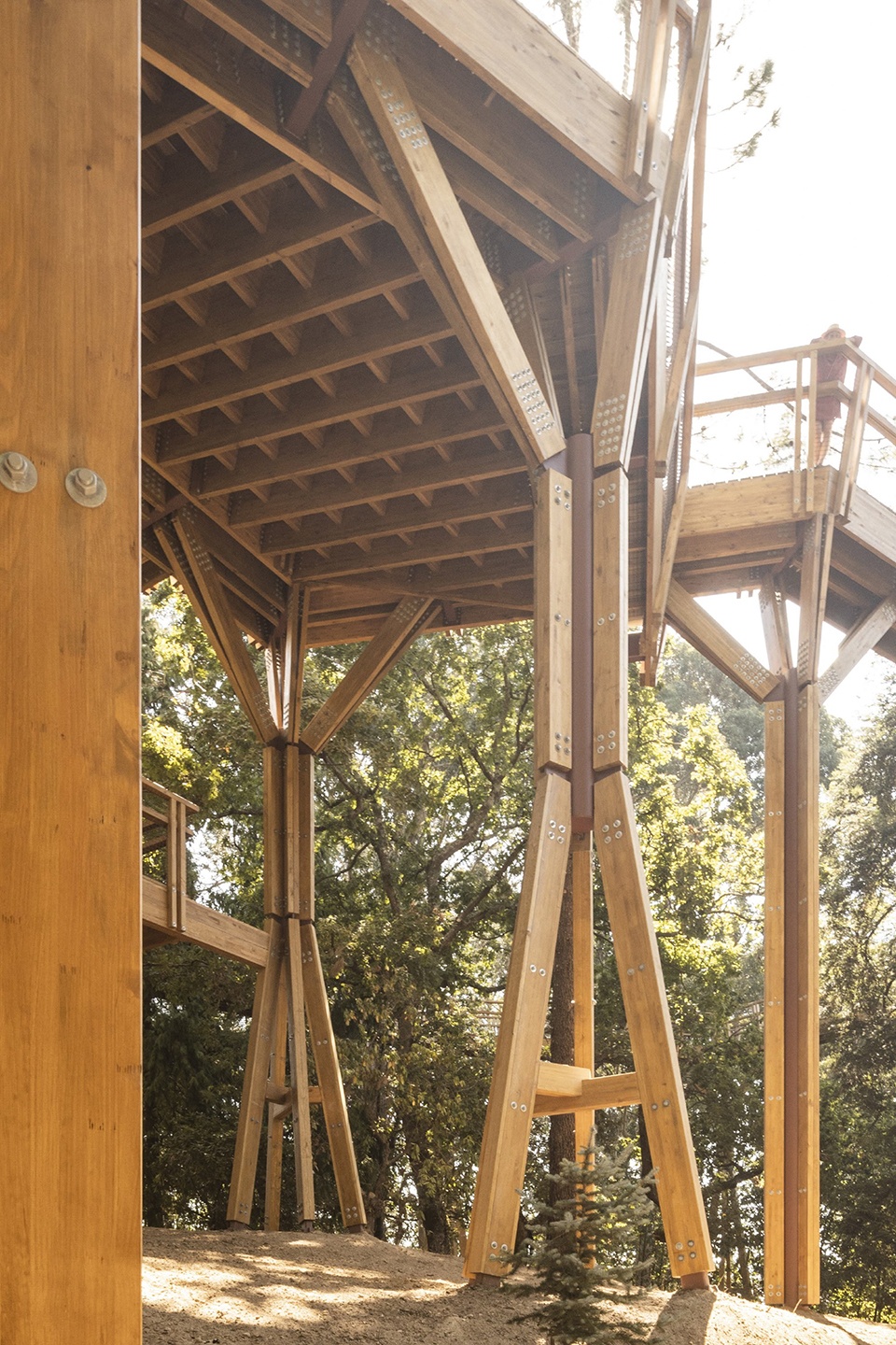 treetop walk serralves by alvaro siza