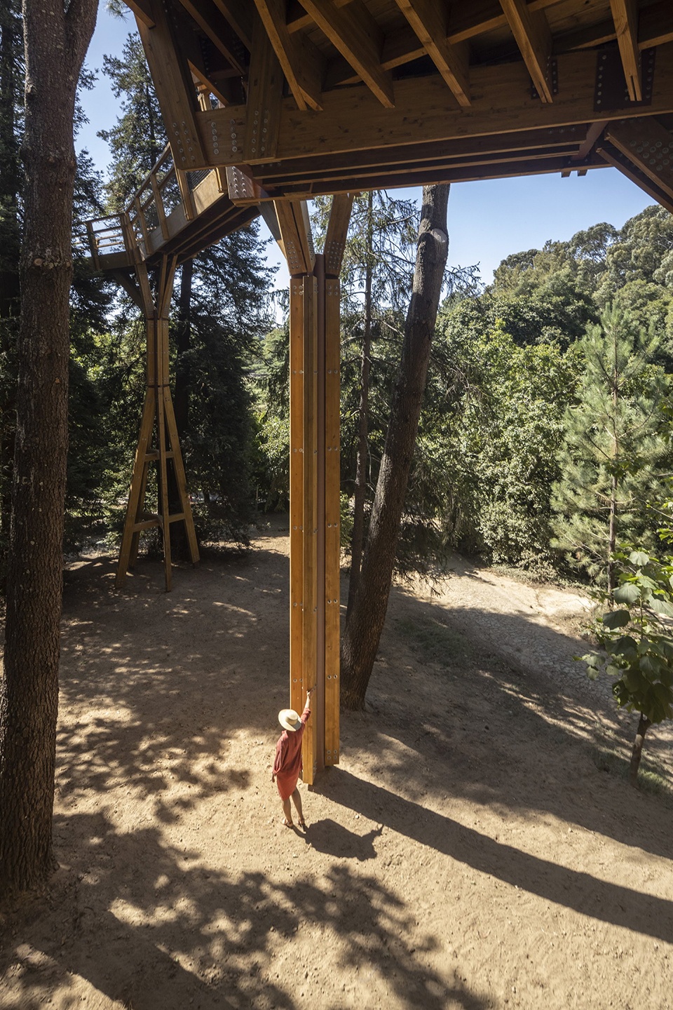 treetop walk serralves by alvaro siza