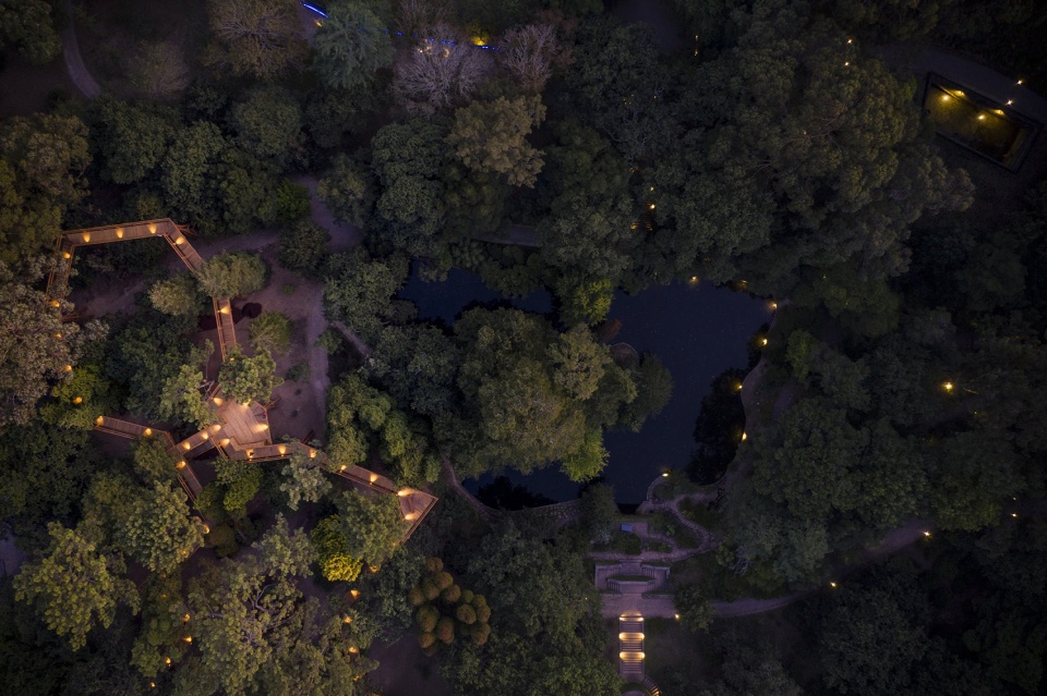 treetop walk serralves by alvaro siza