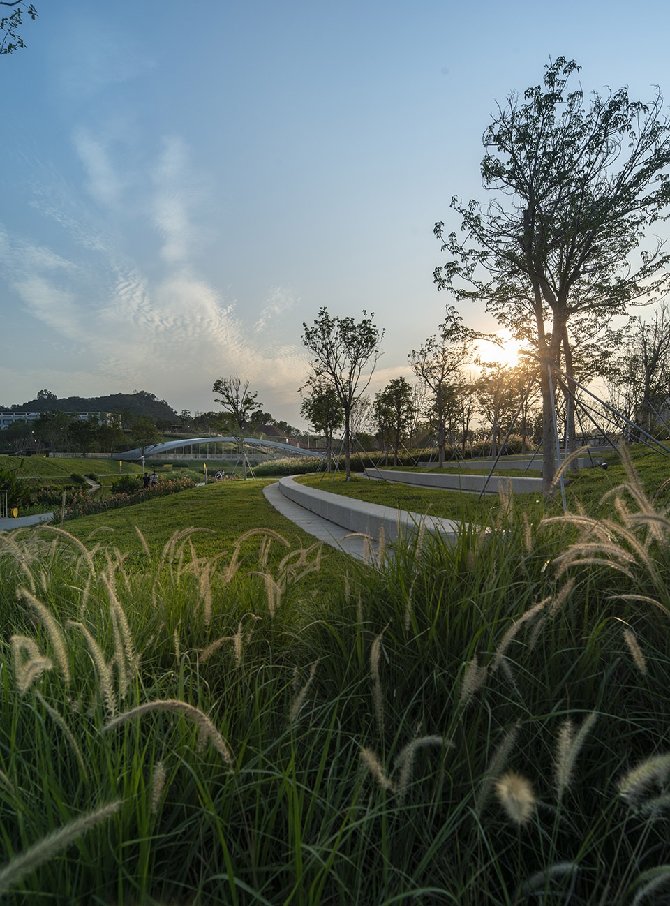 The Fish leaping north and south The Landscape Revitalization in The Seventh Hospital of Zhongshan University by LA Design