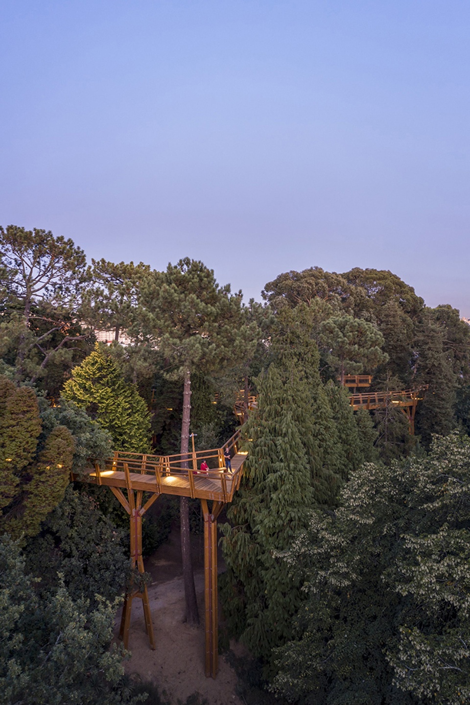 treetop walk serralves by alvaro siza 1