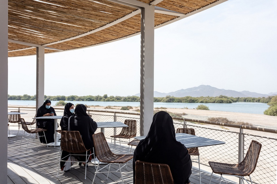 turtle sanctuary at kalba mangrove reserve by hopkins architects