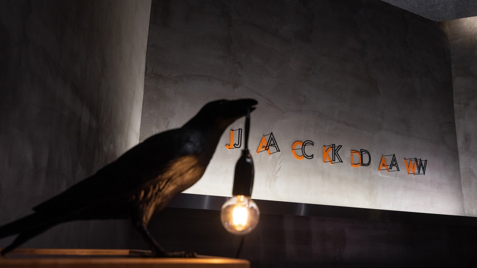 Jackdaw Coffee China by SSD