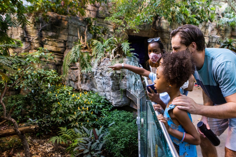 Montreal Biodome Science Museum by KANVA 1