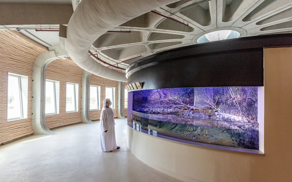 turtle sanctuary at kalba mangrove reserve by hopkins architects