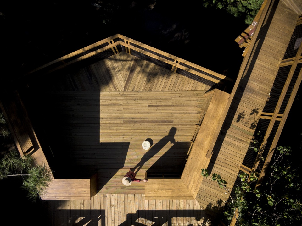 treetop walk serralves by alvaro siza