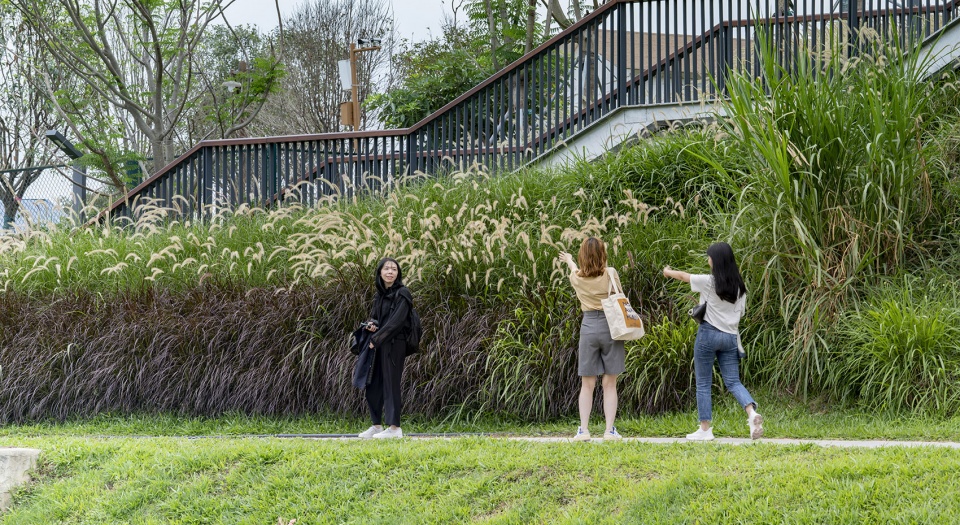 The Fish leaping north and south The Landscape Revitalization in The Seventh Hospital of Zhongshan University by LA Design