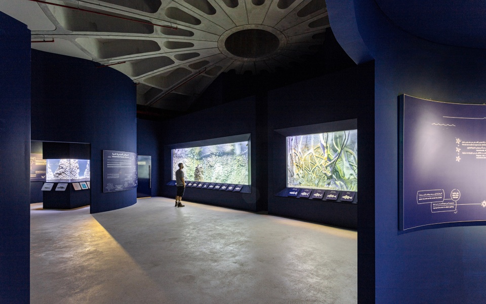 turtle sanctuary at kalba mangrove reserve by hopkins architects