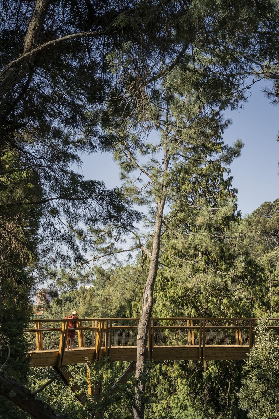 treetop walk serralves by alvaro siza