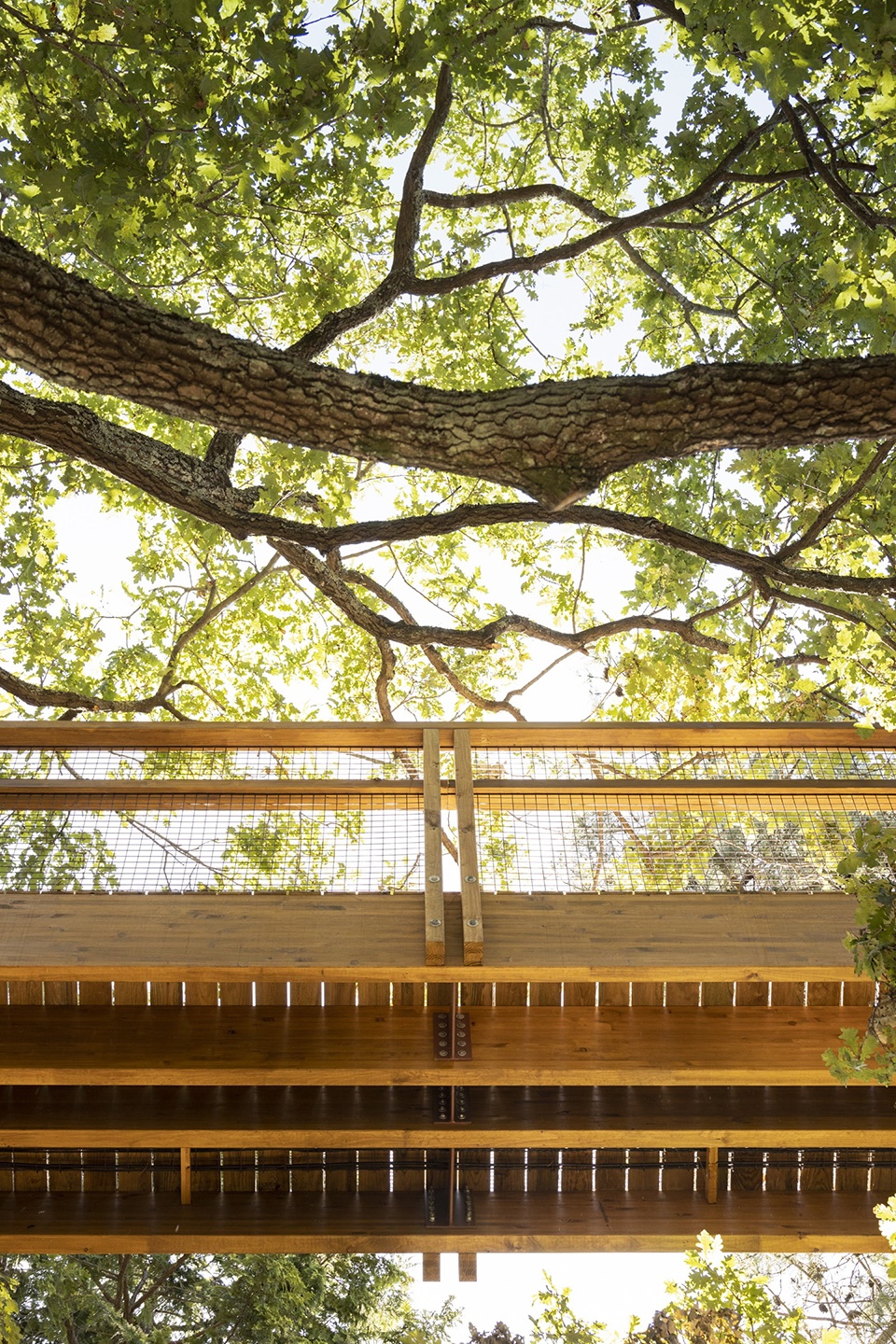 treetop walk serralves by alvaro siza