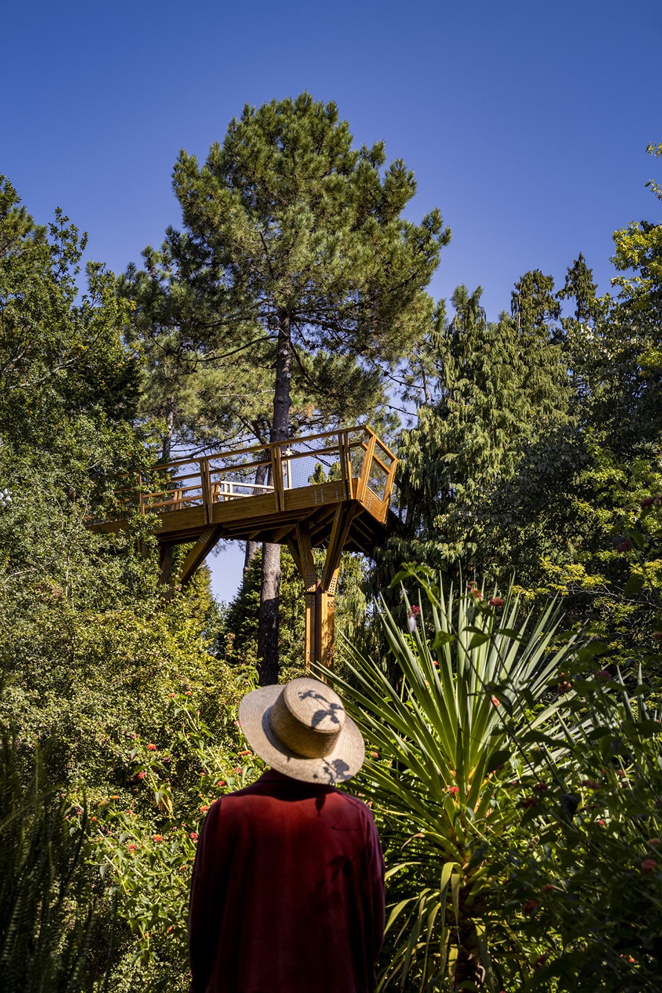 treetop walk serralves by alvaro siza