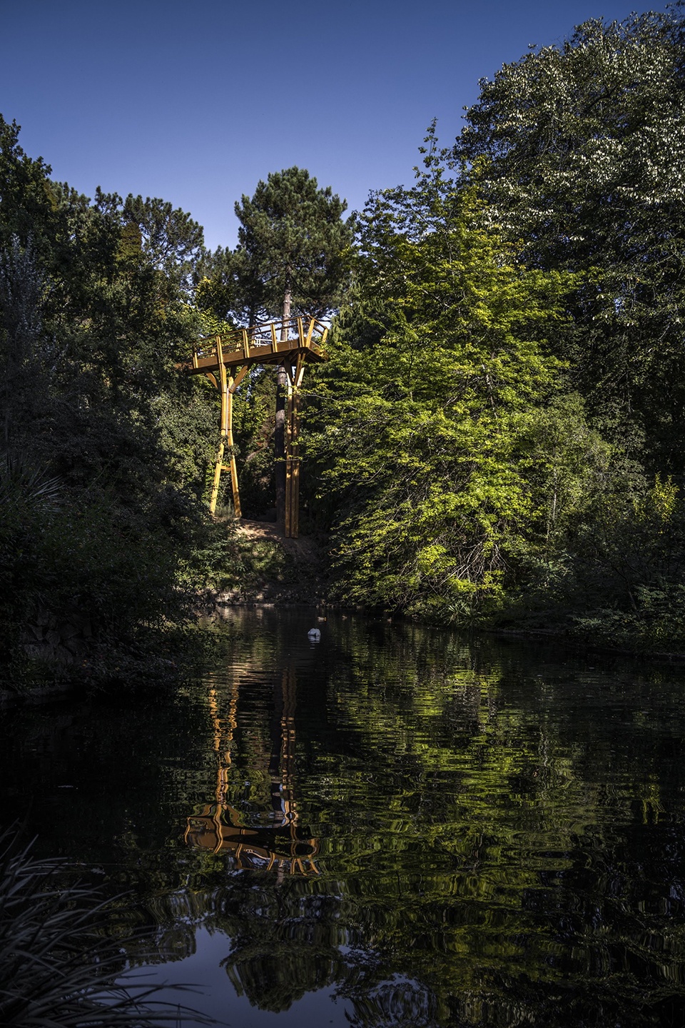 treetop walk serralves by alvaro siza