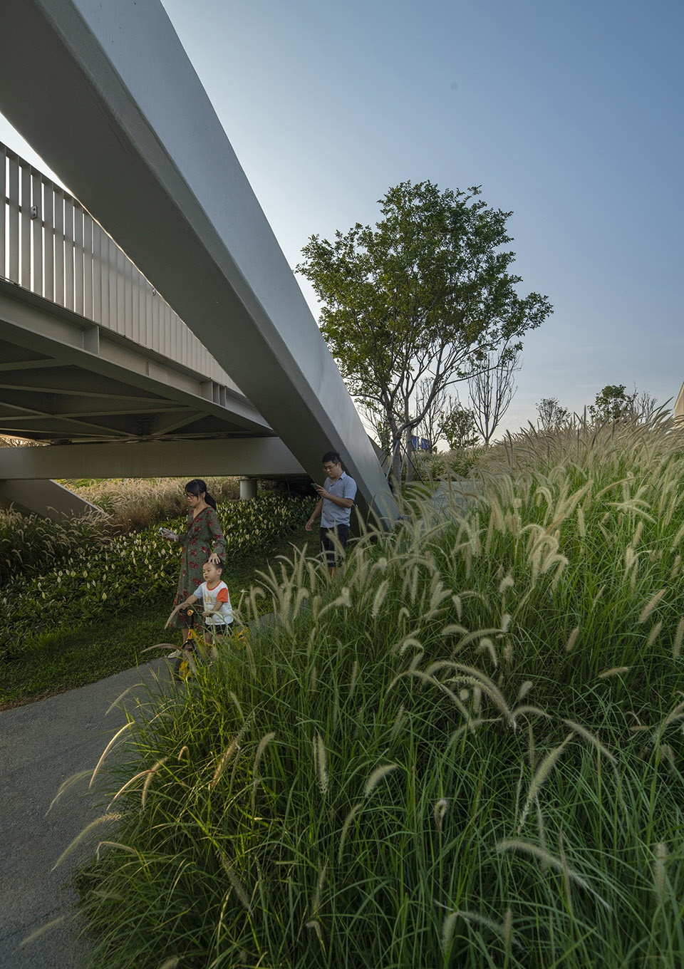 The Fish leaping north and south The Landscape Revitalization in The Seventh Hospital of Zhongshan University by LA Design