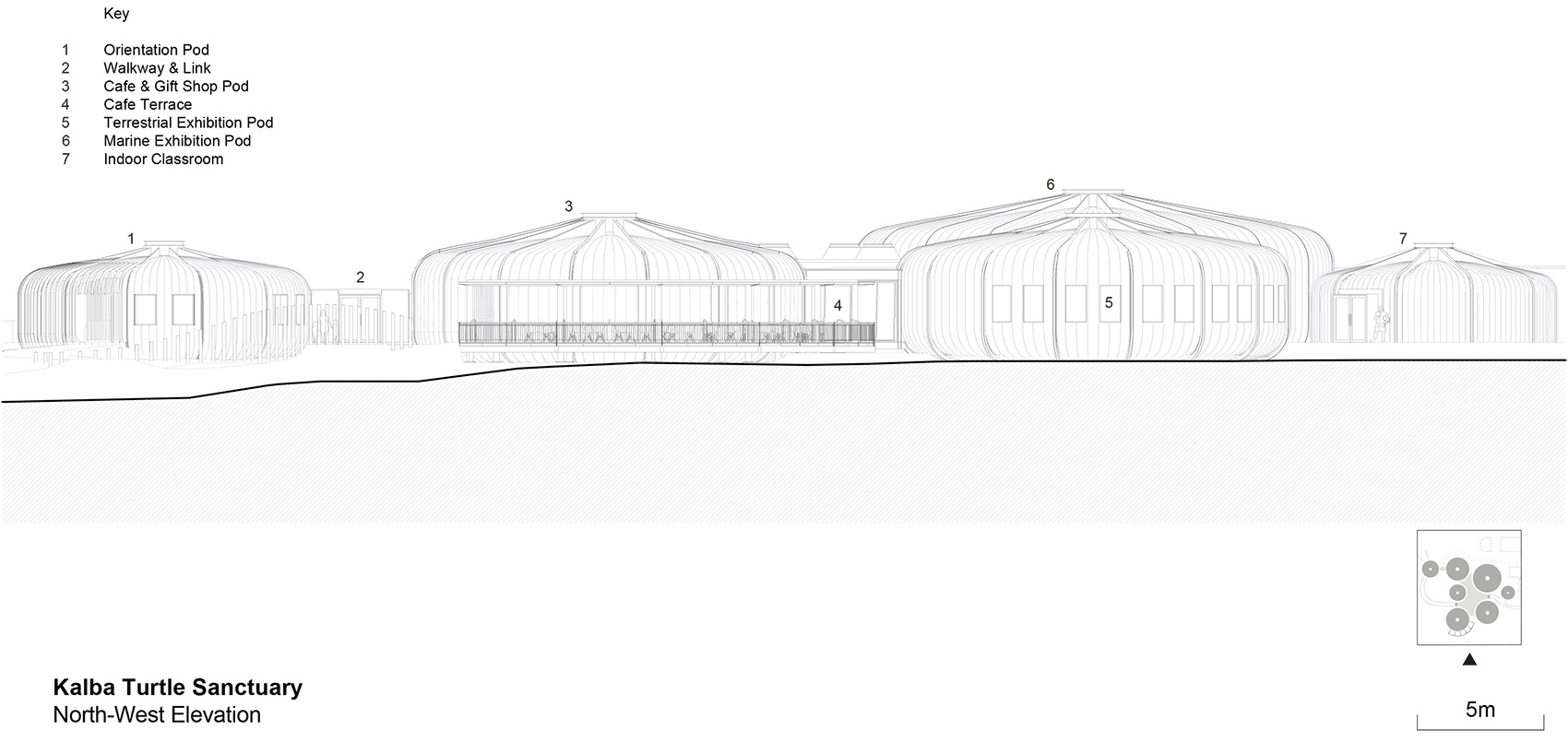 turtle sanctuary at kalba mangrove reserve by hopkins architects