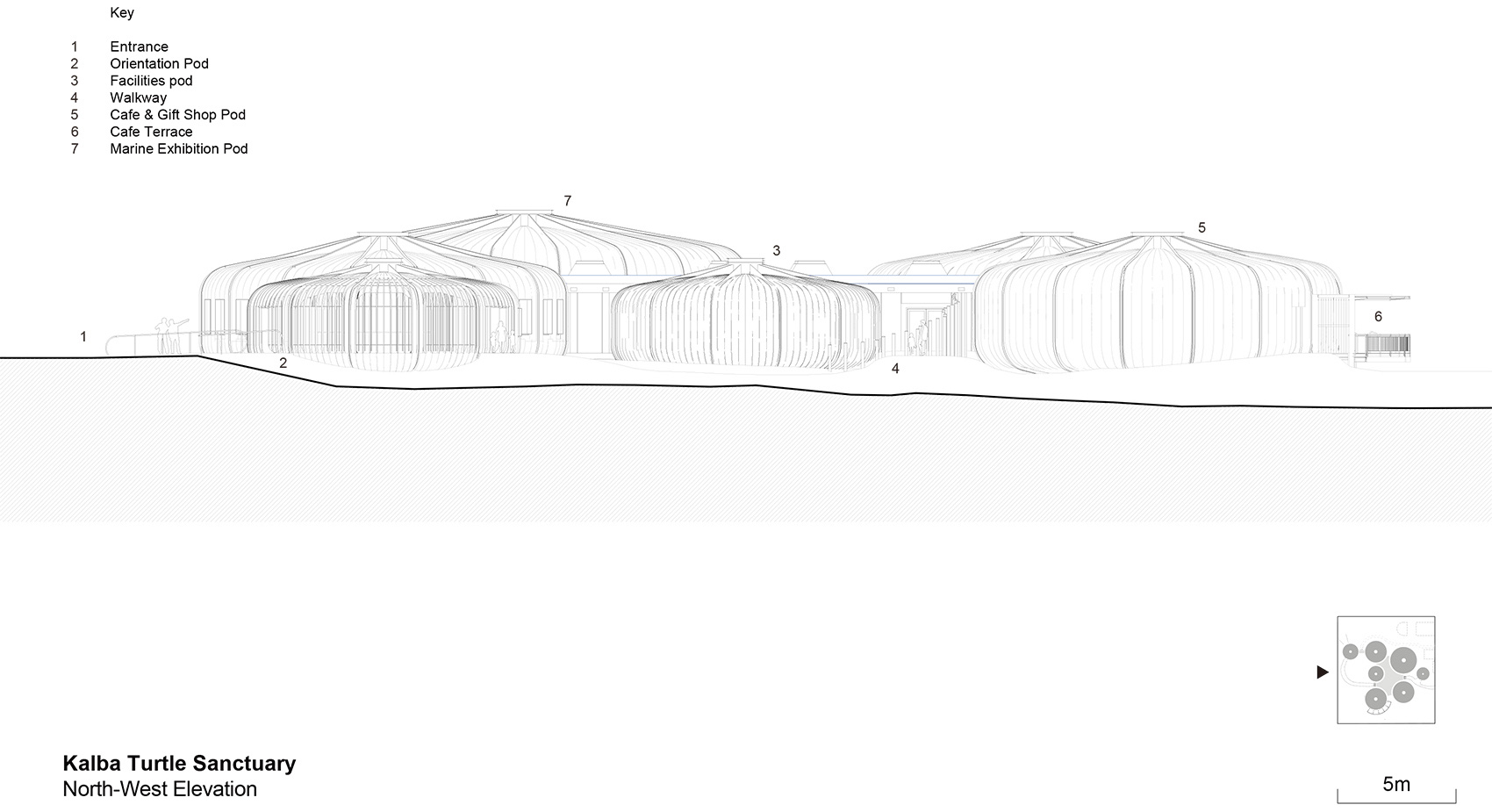 turtle sanctuary at kalba mangrove reserve by hopkins architects