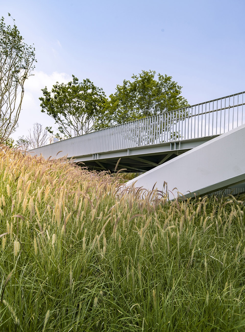 The Fish leaping north and south The Landscape Revitalization in The Seventh Hospital of Zhongshan University by LA Design