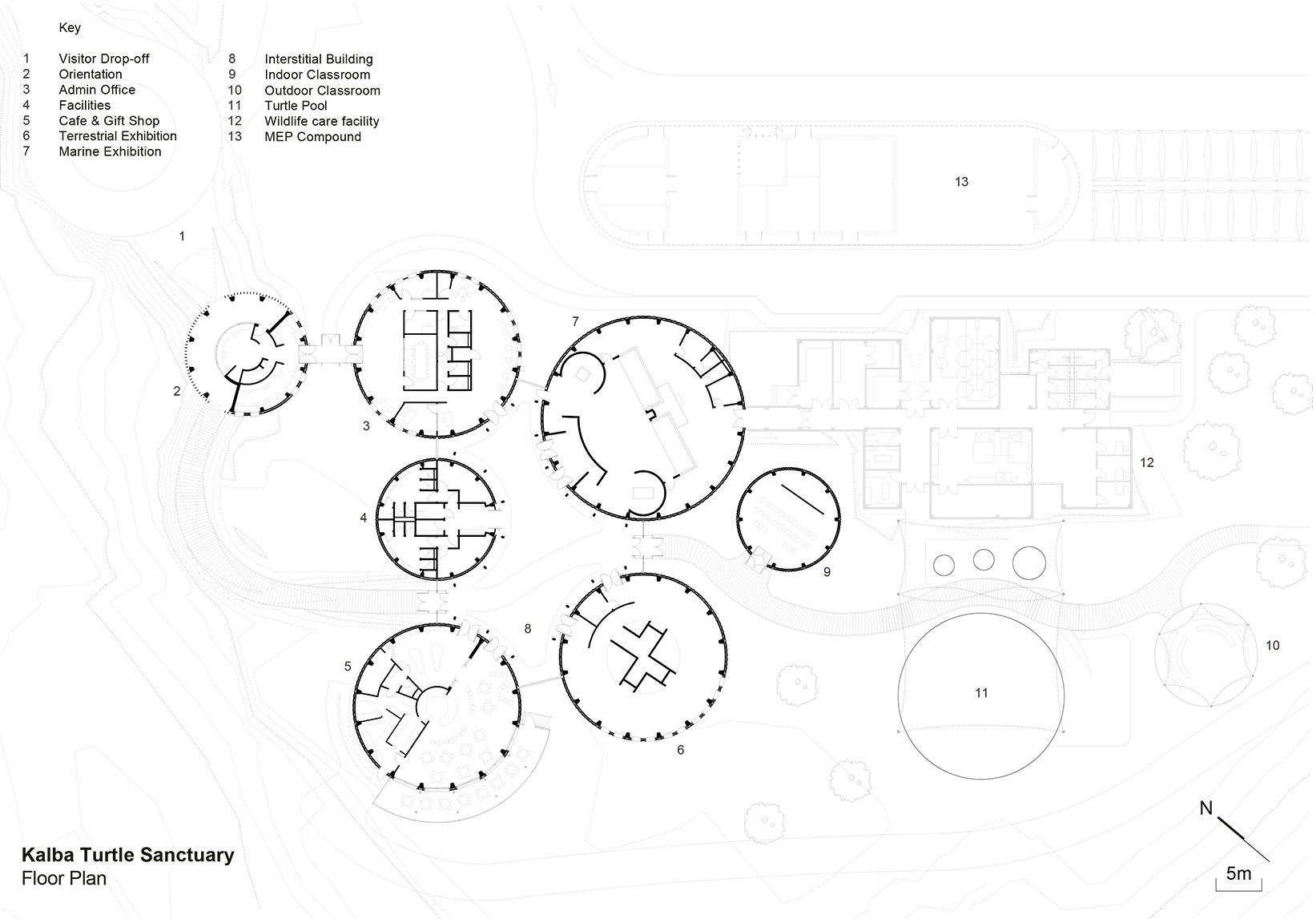 turtle sanctuary at kalba mangrove reserve by hopkins architects