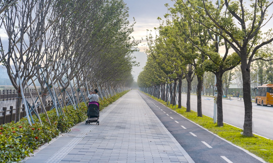 The Fish leaping north and south The Landscape Revitalization in The Seventh Hospital of Zhongshan University by LA Design