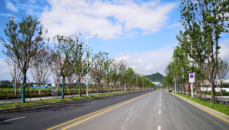 The Fish leaping north and south The Landscape Revitalization in The Seventh Hospital of Zhongshan University by LA Design 拷贝 1