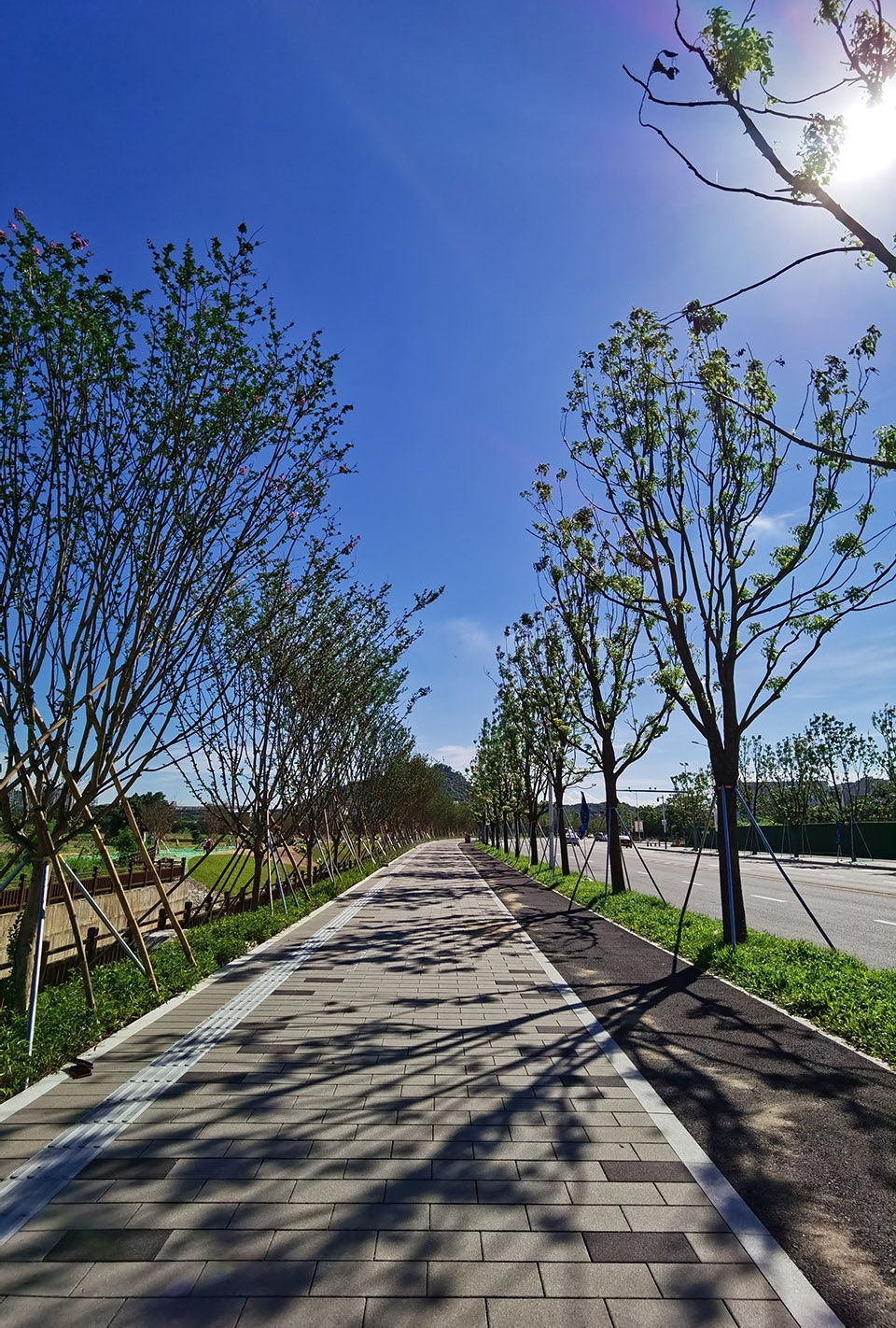 The Fish leaping north and south The Landscape Revitalization in The Seventh Hospital of Zhongshan University by LA Design