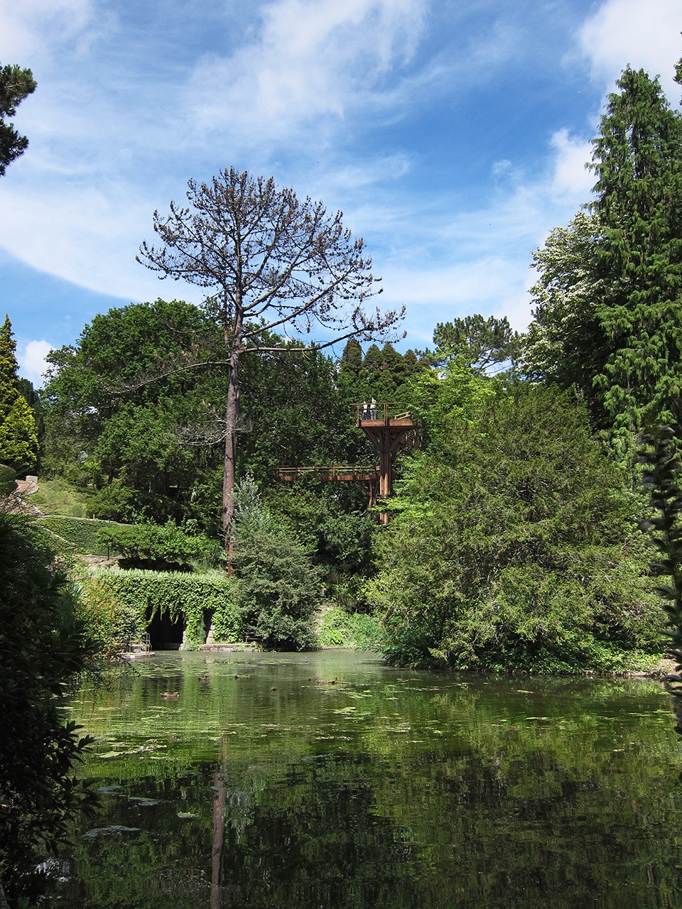 treetop walk serralves by alvaro siza