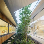 林中诊所，日本 / Takashige Yamashita Ofﬁce