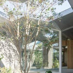 林中诊所，日本 / Takashige Yamashita Ofﬁce